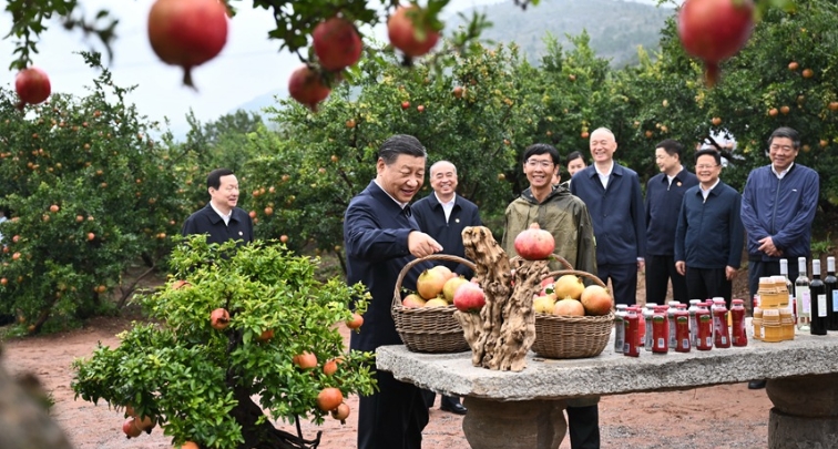 Xi insta a Zhejiang a escribir nuevo capítulo en impulso de modernización china 